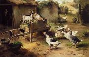 unknow artist Poultry 076 oil painting reproduction